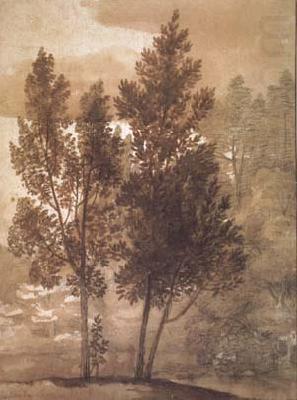 Claude Lorrain Trees (mk17) china oil painting image